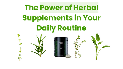 Embracing Holistic Wellness: The Power of Herbal Supplements in Your Daily Routine