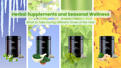 Discover the Best Herbal Supplements for Every Season – Elevate Your Wellness Year-Round with Nature's Support